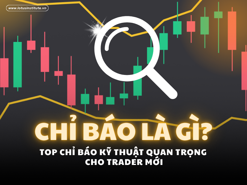 Chỉ báo là gì? Top chỉ báo kỹ thuật quan trọng cho trader mới